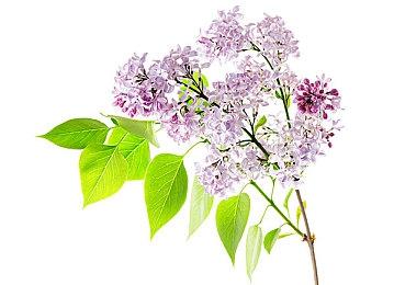 《Unicycle Pizza Time!》登陆Steam 高难度送披萨